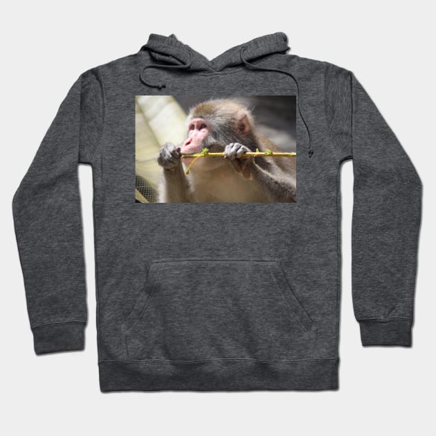 Japanese Snow Monkey Hoodie by croper